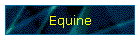 Equine